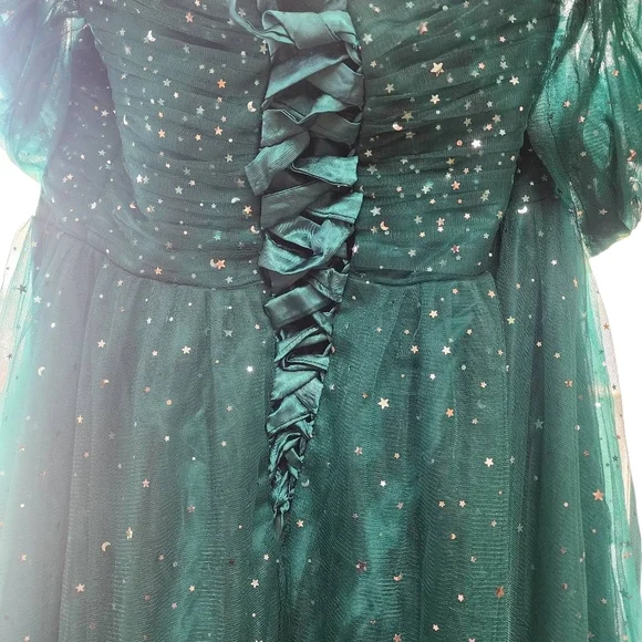 Green & Silver Stars & Moons Sequined Formal Dress (28W) - Picture 5 of 8